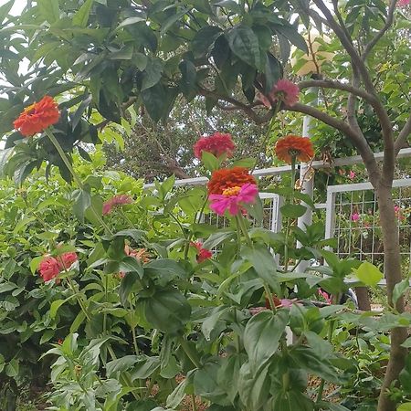 Garden Rooms هيماري المظهر الخارجي الصورة